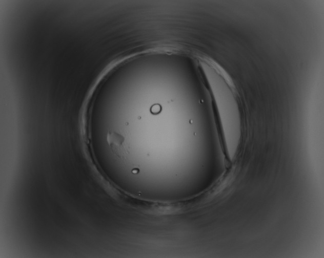 X0000099991099200806061539