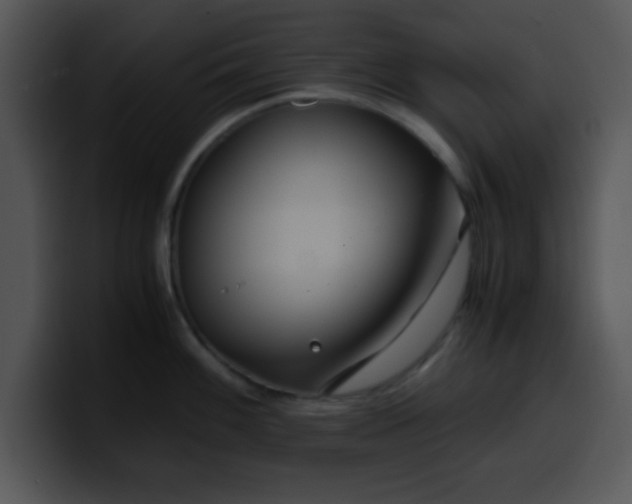 X0000099991100200806061539