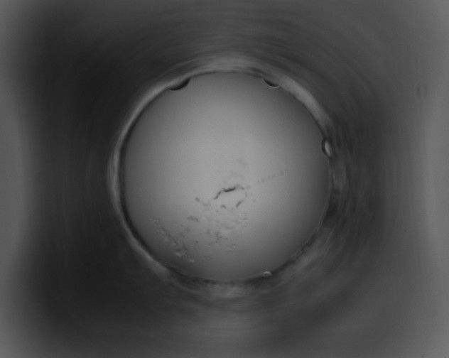 X0000099991103200806061539