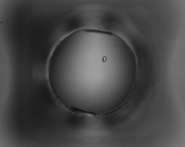 X0000099991104200806061539