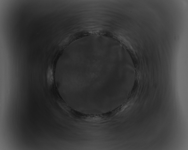 X0000099991106200806061538