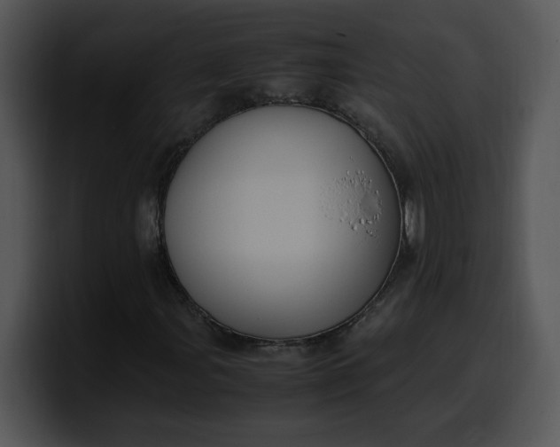 X0000099991107200806061538