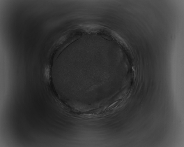 X0000099991108200806061538