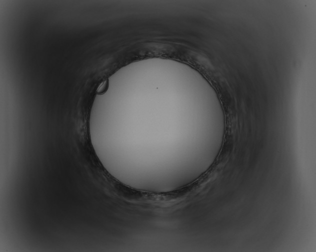 X0000099991109200806061538