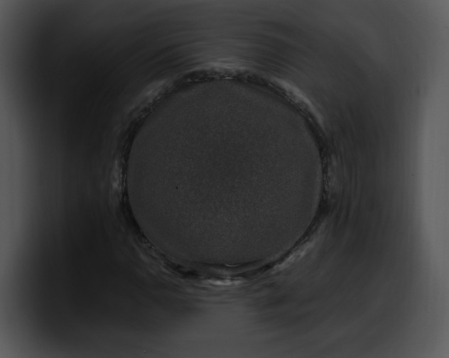 X0000099991110200806061538