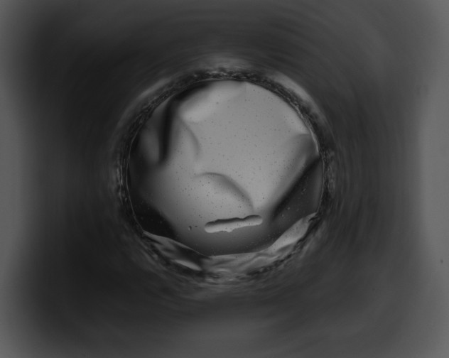 X0000099991112200806061538