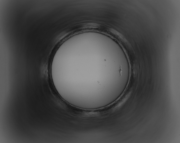 X0000099991113200806061538