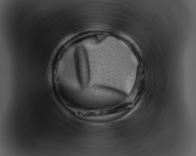 X0000099991114200806061538