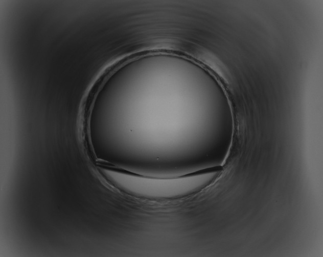 X0000099991116200806061538