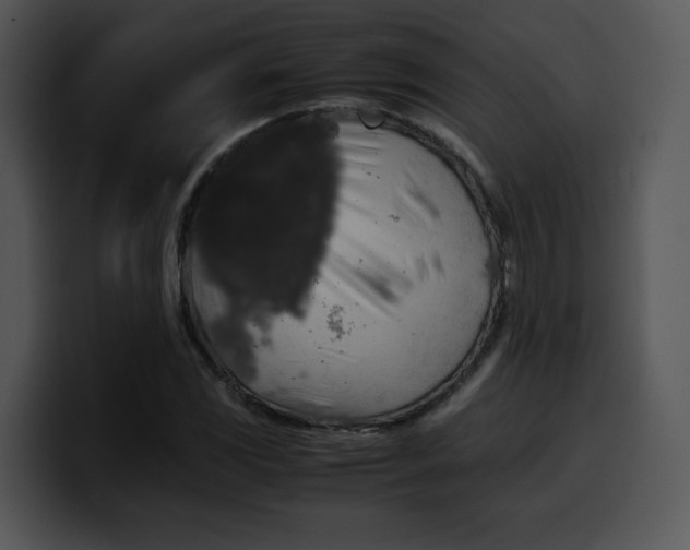 X0000099991117200806061538