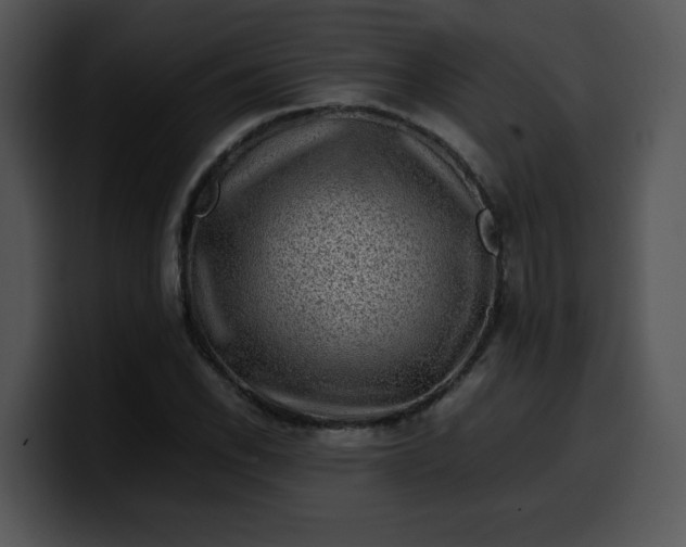 X0000099991118200806061538