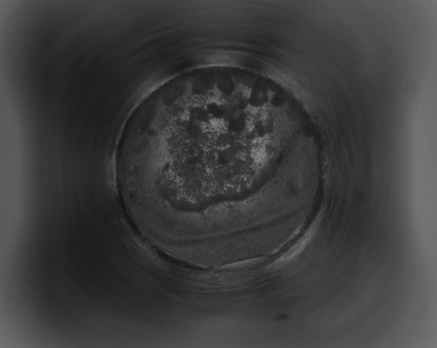 X0000099991121200806061538