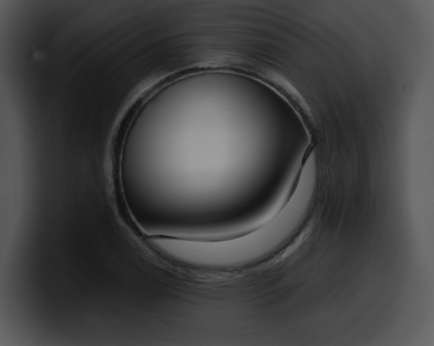 X0000099991122200806061538