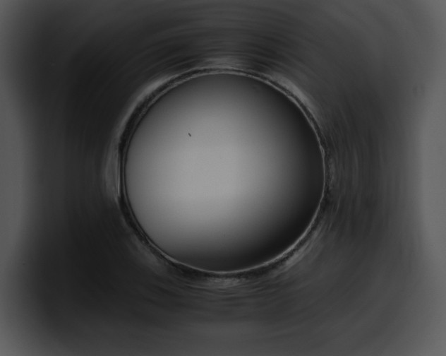 X0000099991123200806061538