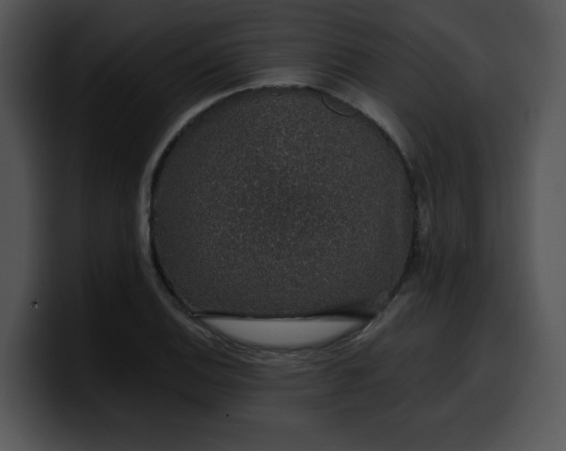 X0000099991124200806061538