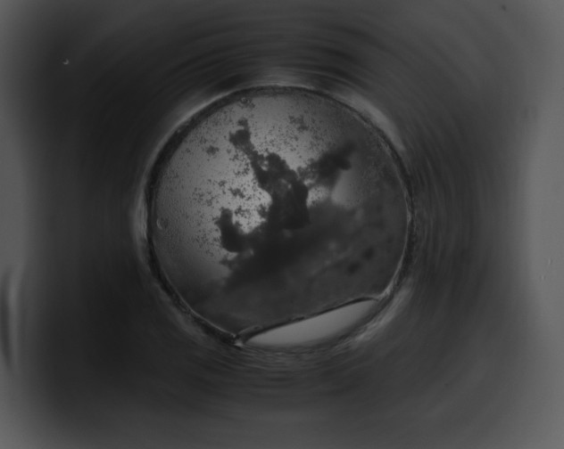 X0000099991125200806061538