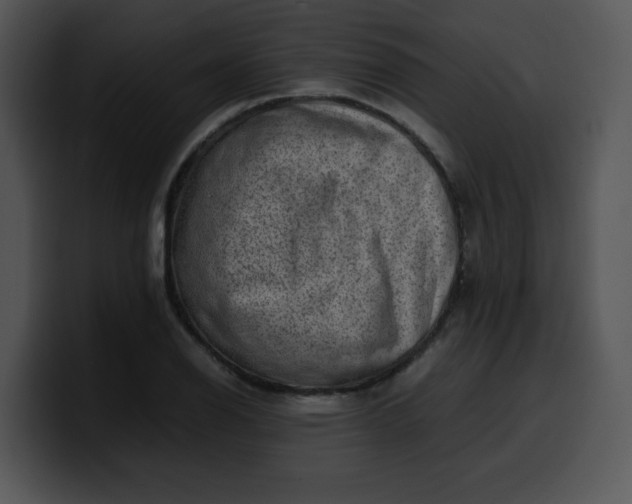 X0000099991126200806061538