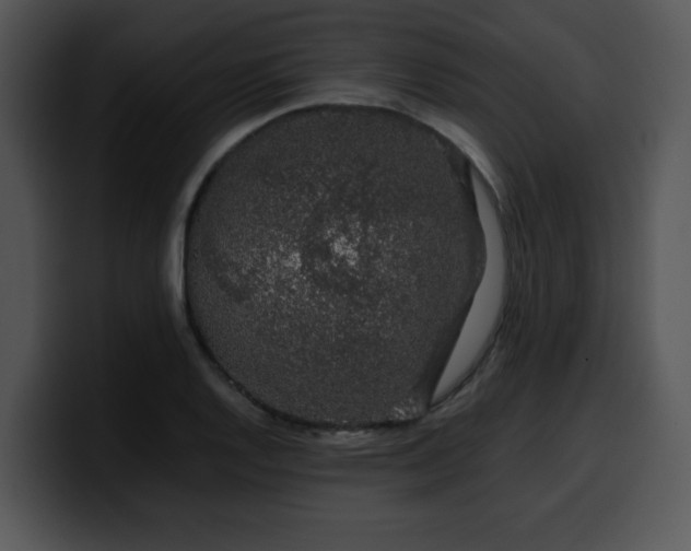 X0000099991128200806061539