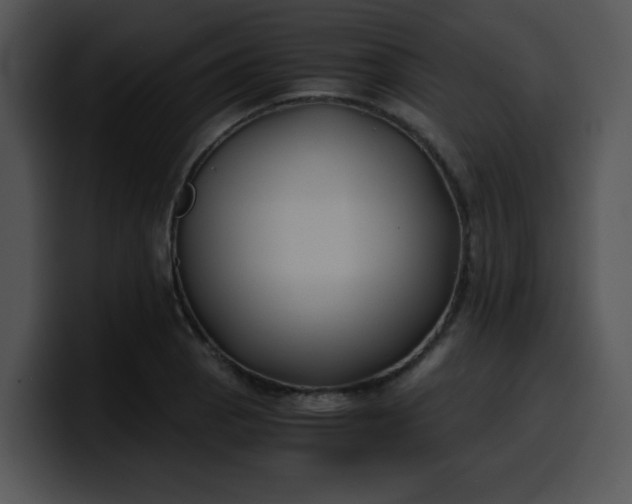 X0000099991129200806061539