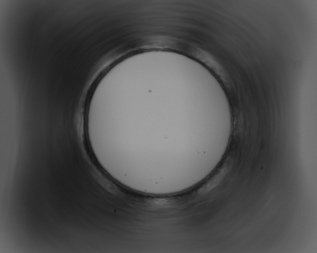 X0000099991130200806061539