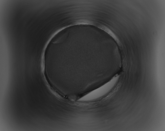 X0000099991132200806061539