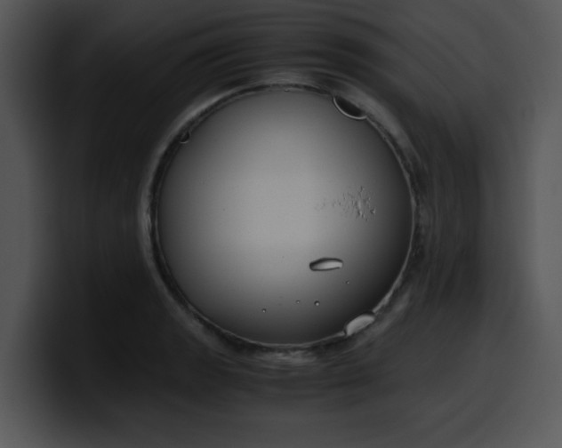 X0000099991133200806061539