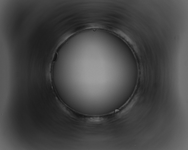 X0000099991137200806061539