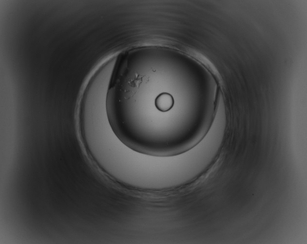 X0000099991138200806061539