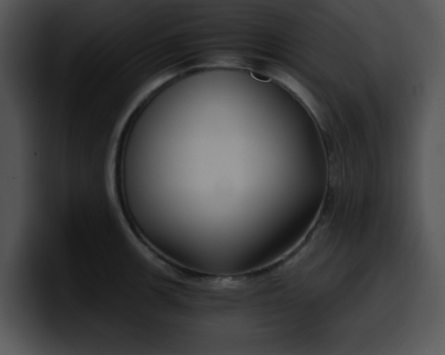 X0000099991139200806061539