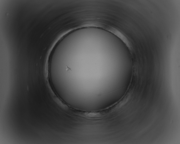 X0000099991140200806061539