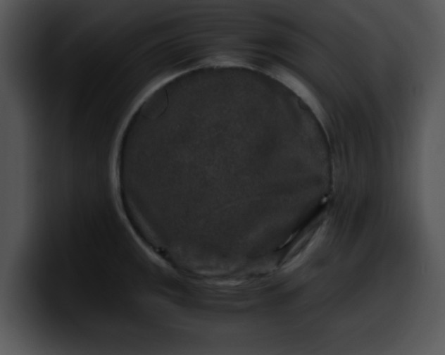 X0000099991141200806061539