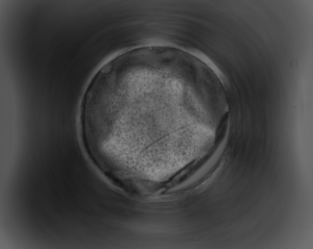 X0000099991142200806061539