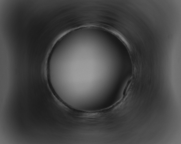 X0000099991143200806061539