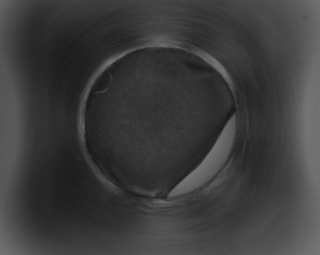 X0000099991144200806061539