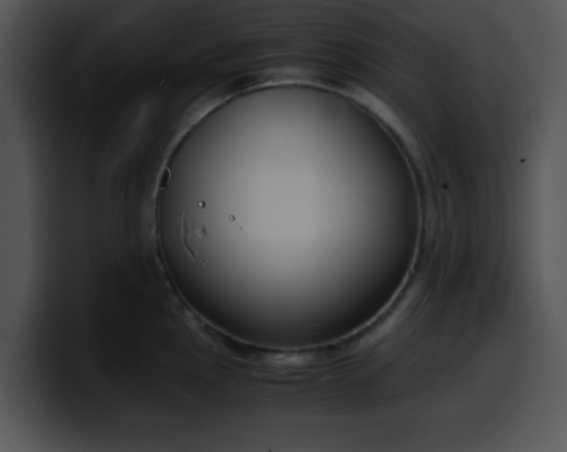 X0000099991145200806061539