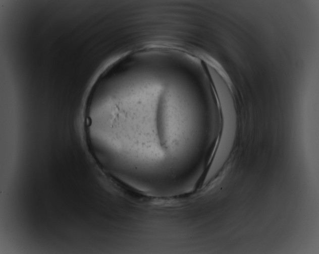 X0000099991146200806061539