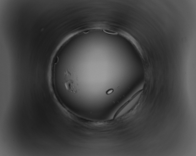 X0000099991147200806061539