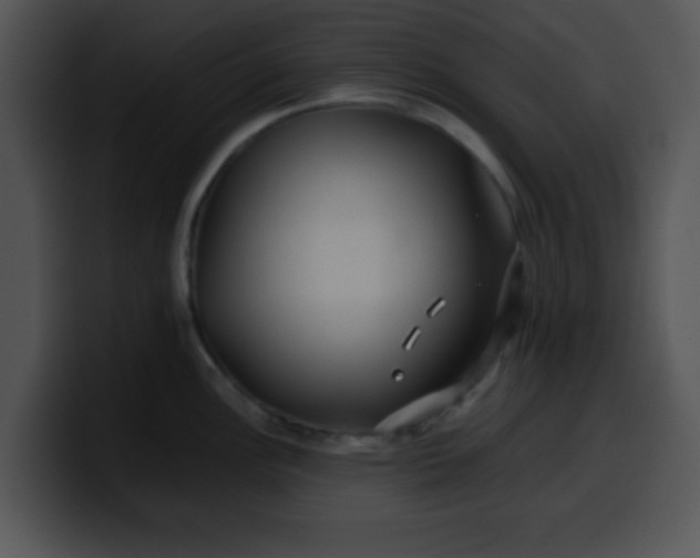 X0000099991148200806061539