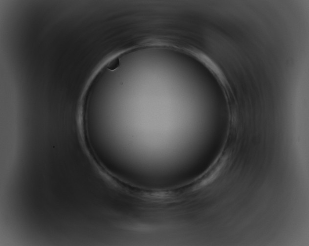 X0000099991149200806061539