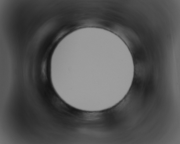 X0000099991150200806061539