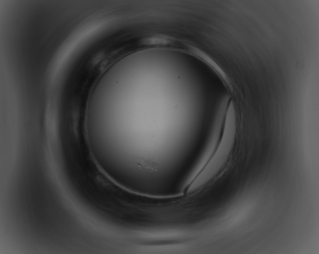 X0000099991151200806061539