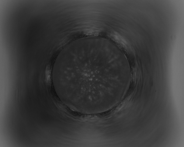 X0000099991154200806061538