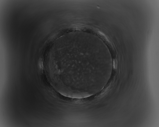 X0000099991155200806061538