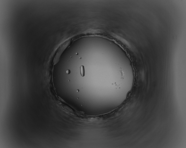 X0000099991160200806061538