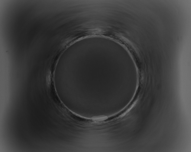 X0000099991161200806061538