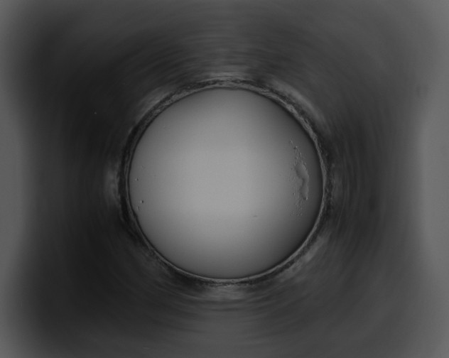 X0000099991162200806061538