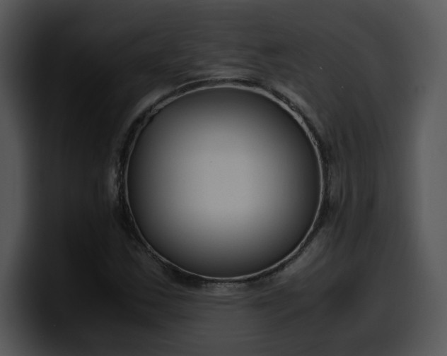 X0000099991163200806061538