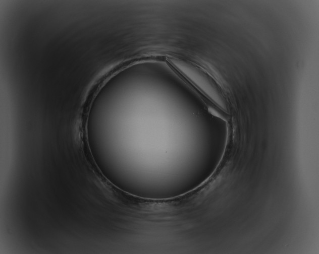 X0000099991164200806061538