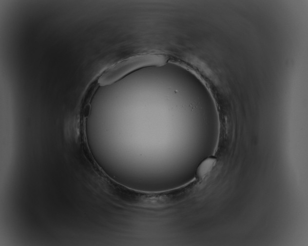 X0000099991165200806061538