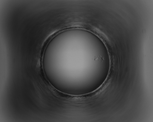 X0000099991166200806061538